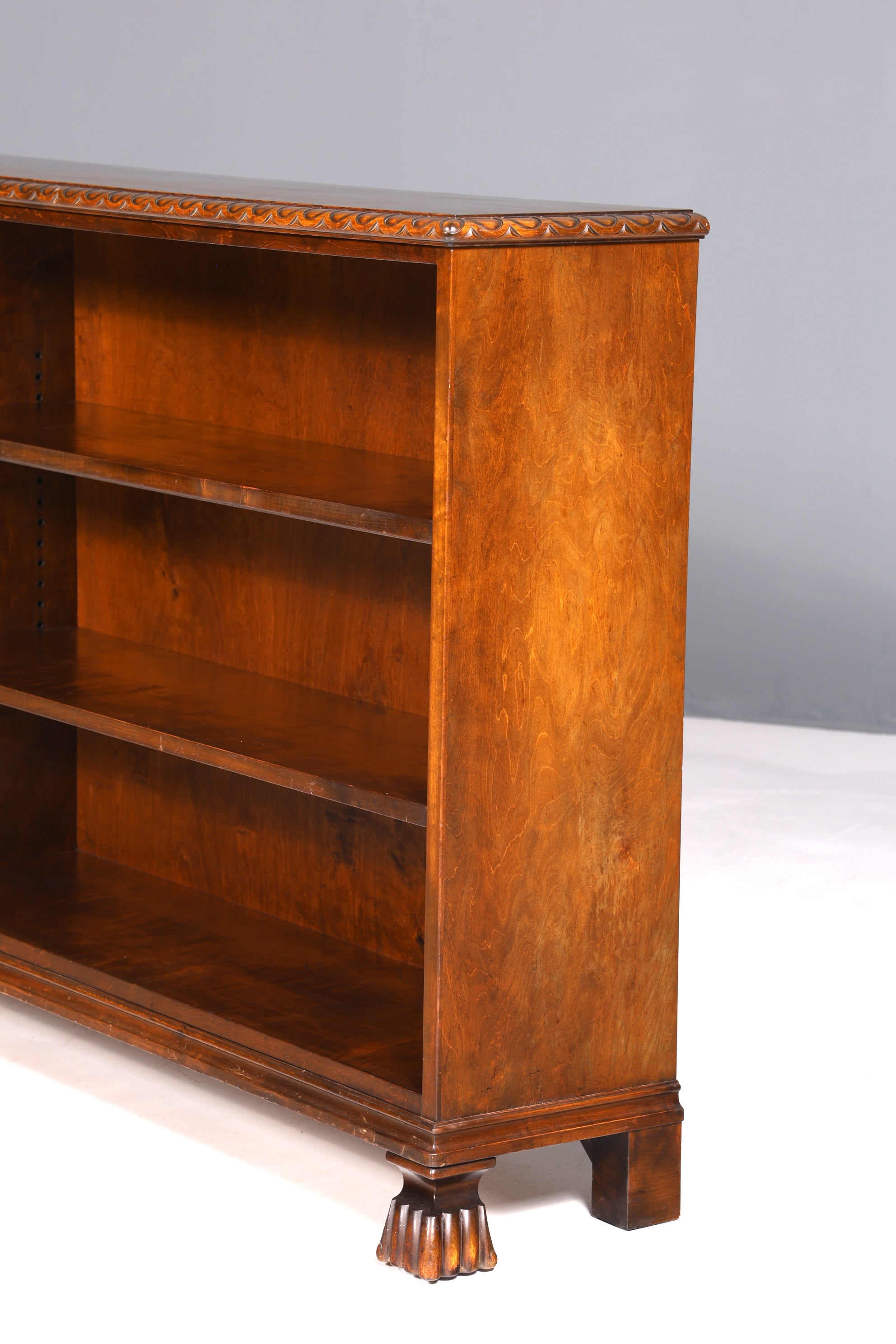 Bibliothèque néo-Renaissance onirique, étagère ancienne de l&